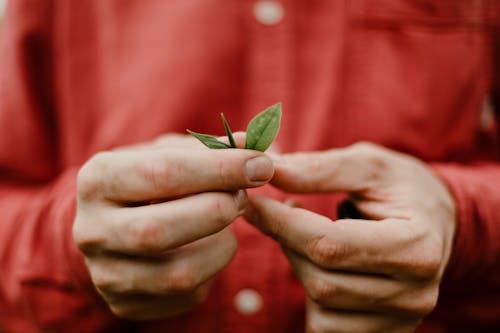 亞洲, 人, 假期 的 免费素材图片