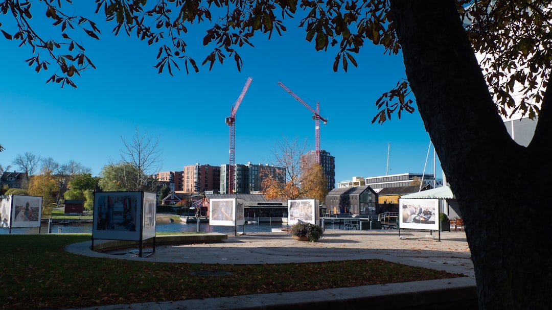 大厂技术文化学习心得:职业发展建议与思考