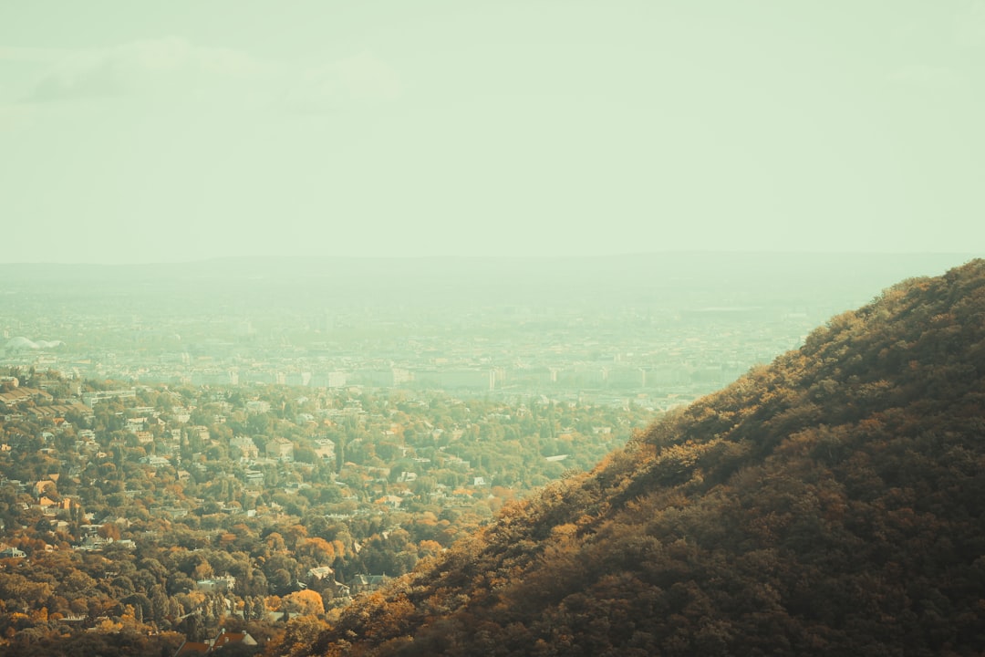 开封企业建站价格技术选型最佳实践