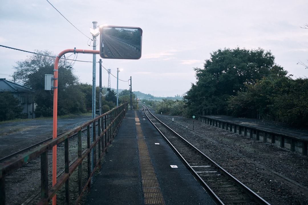 数据统计成本分析与投资回报