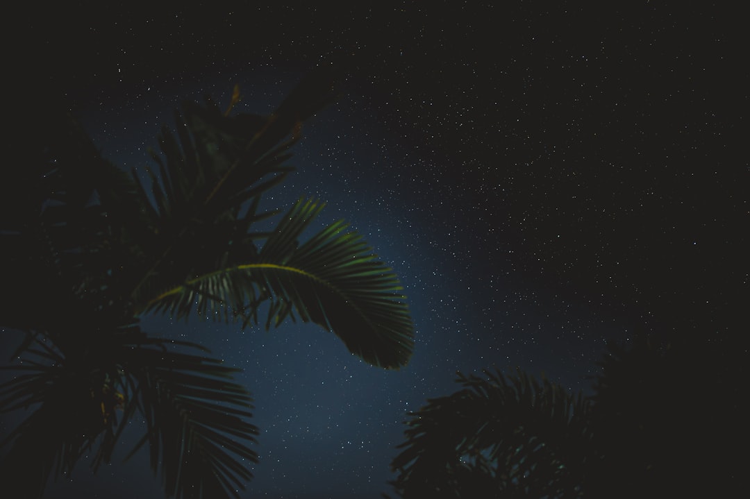 郑州小程序开发怎么收费开发周期时间规划