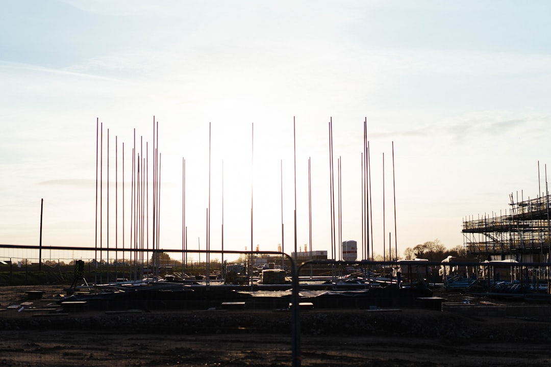 创业经验分享:行业观察与趋势分析