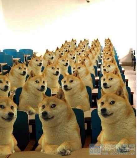 爆料朋友圈微商如何自导自演!!!大揭秘.