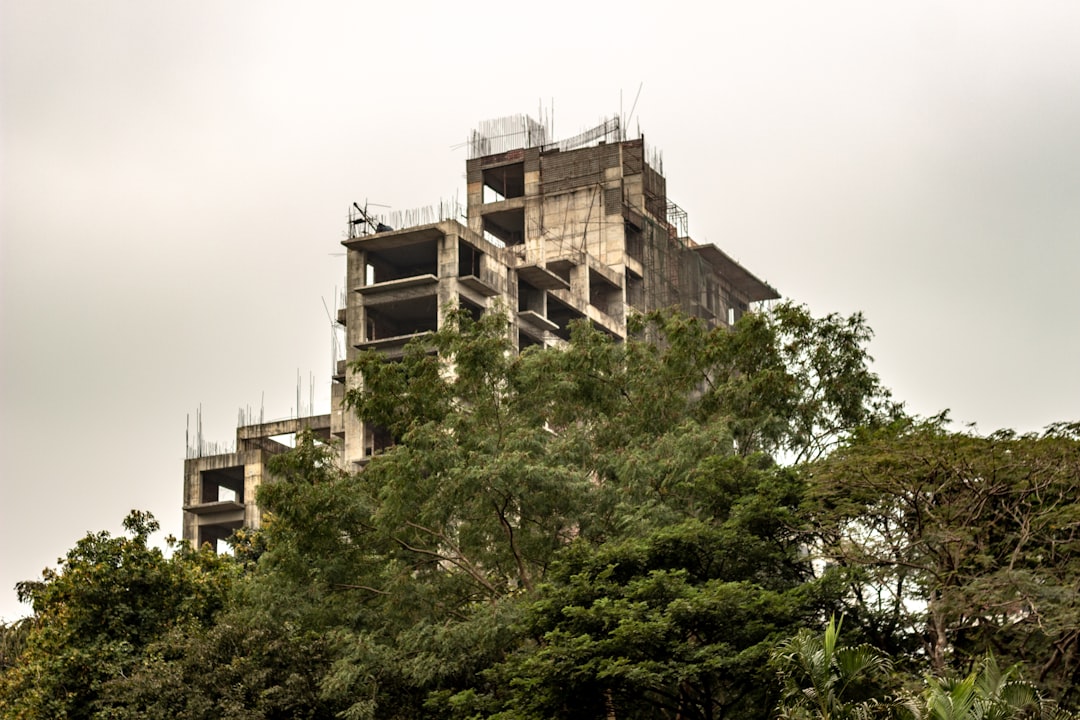 大模型微调教程常见问题汇总