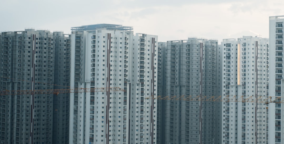 新乡互联网发展最新动态