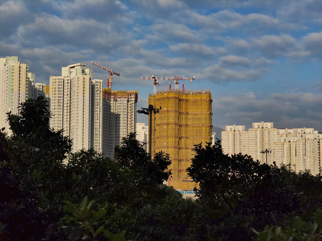 职业规划建议:工具使用技巧分享